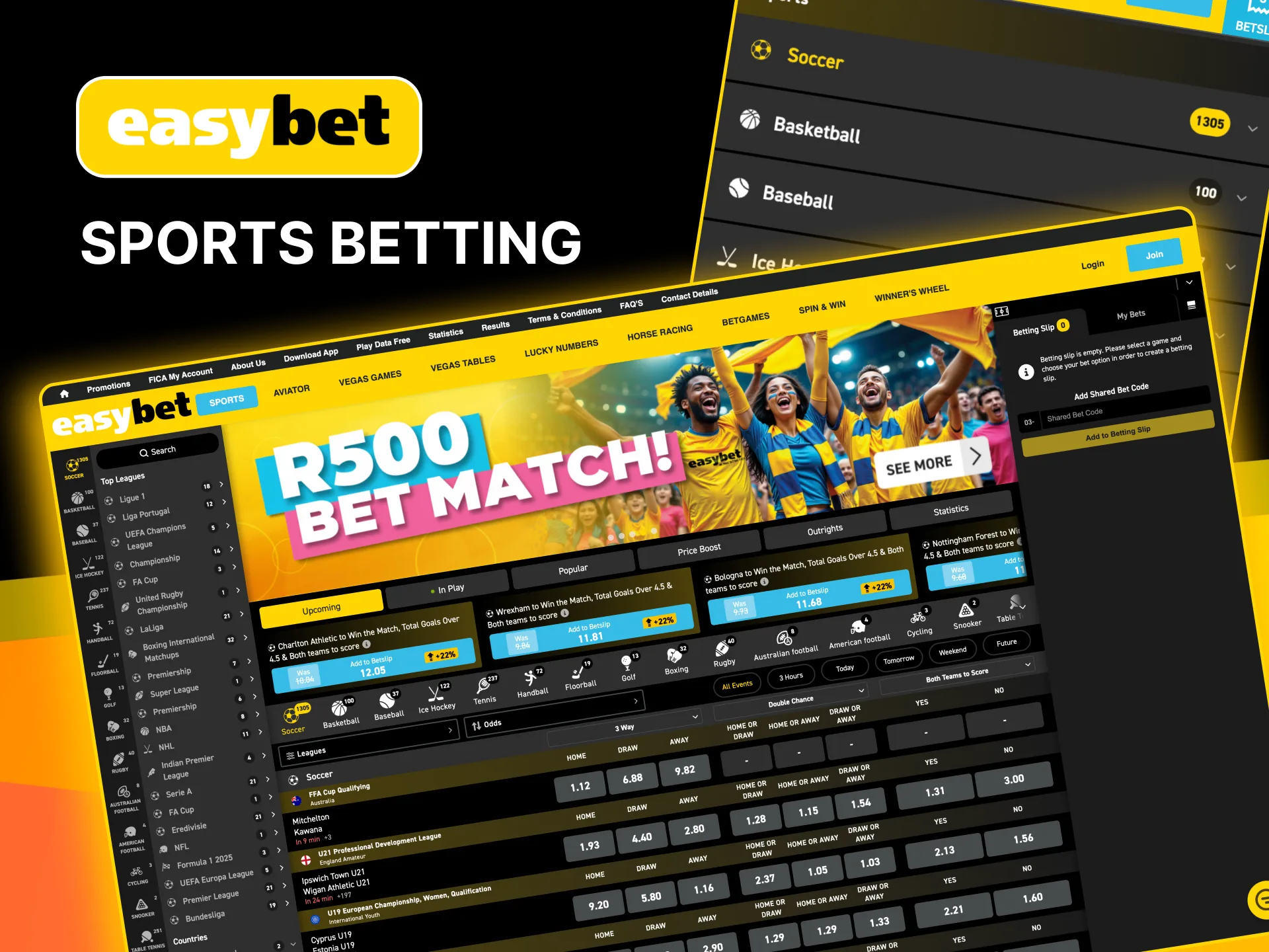 Bet on popular sports like basketball and hockey at Easybet.
